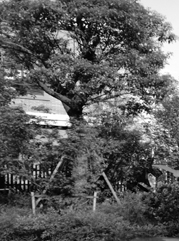 保定注册公司